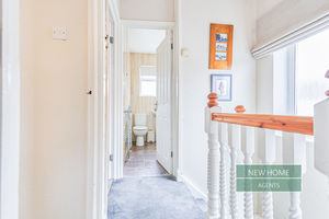 Photo 43- click for photo gallery